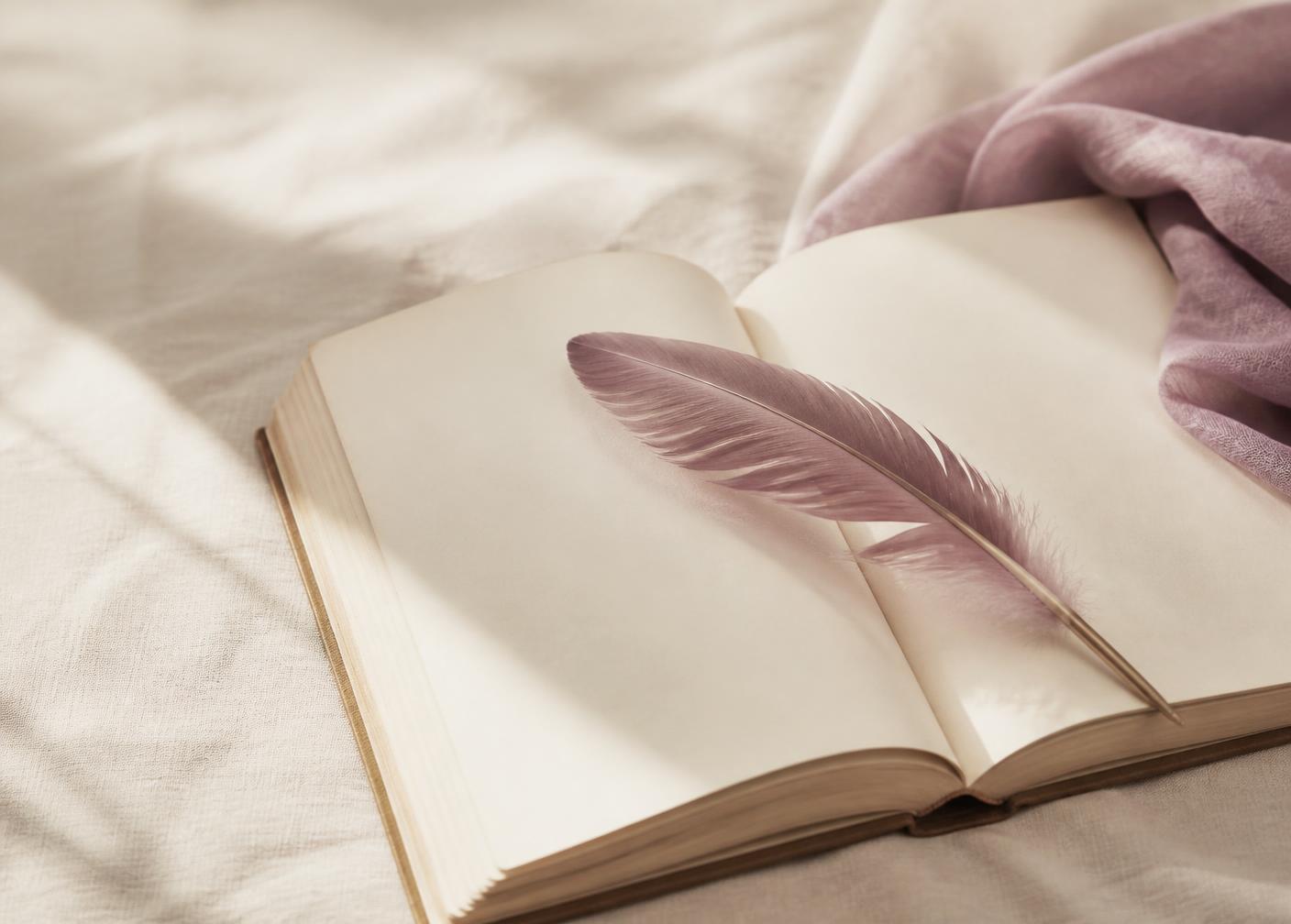 Un livre ouvert, une plume mauve posée sur ses pages, dans une lumière douce